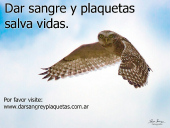 Dar sangre y plaquetas salva vidas
