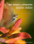 Dar sangre y plaquetas salva vidas