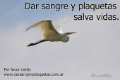 Dar sangre y plaquetas salva vidas