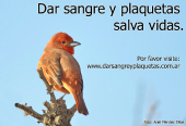 Dar sangre y plaquetas salva vidas