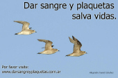 Dar sangre y plaquetas salva vidas