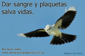 Dar sangre y plaquetas salva vidas