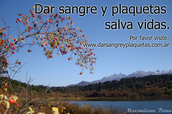 Dar sangre y plaquetas salva vidas.