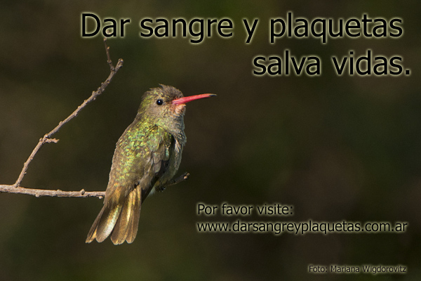 Dar sangre y plaquetas salva vidas.