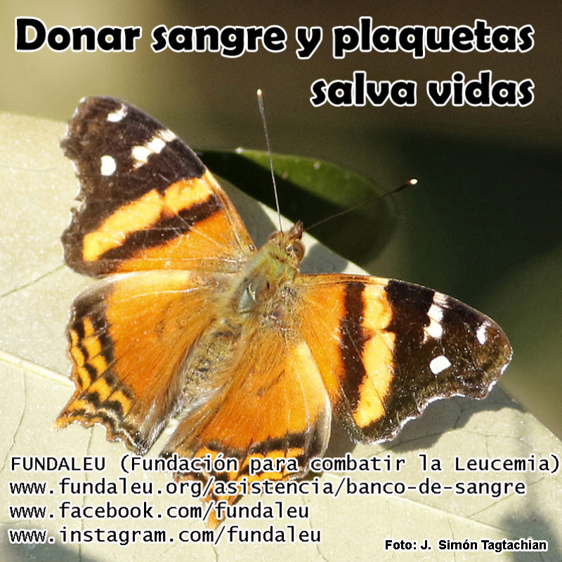 Dar sangre y plaquetas salva vidas.
